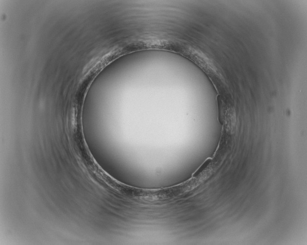 X0000085830740200704132037
