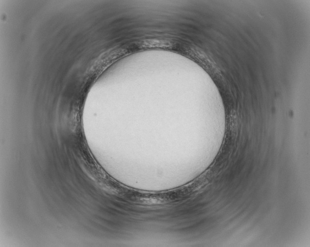 X0000085830741200704132037
