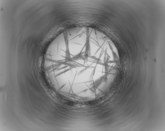 X0000085830742200704132037