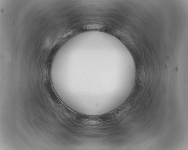 X0000085830743200704132037