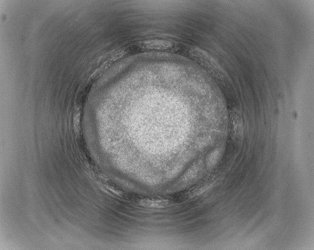 X0000085830745200704132037