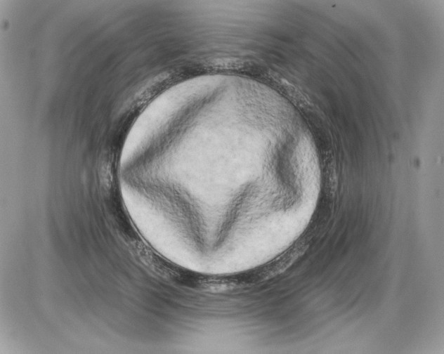 X0000085830746200704132037