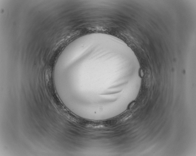 X0000085830747200704132037