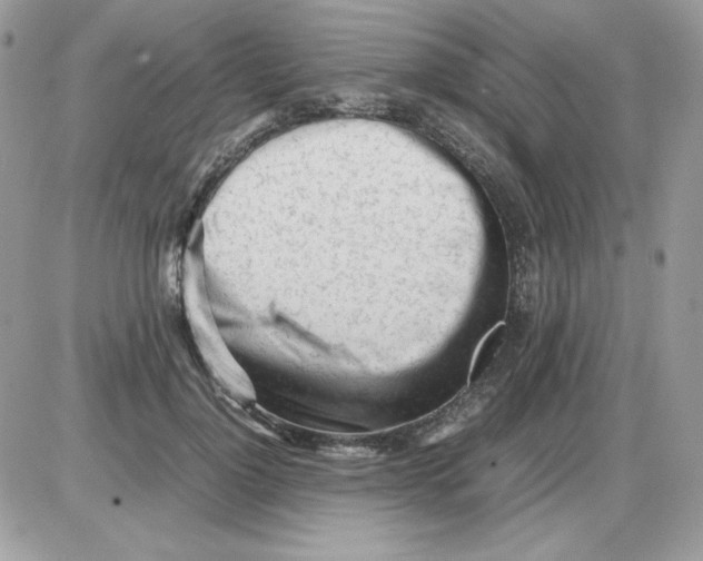 X0000085830748200704132037