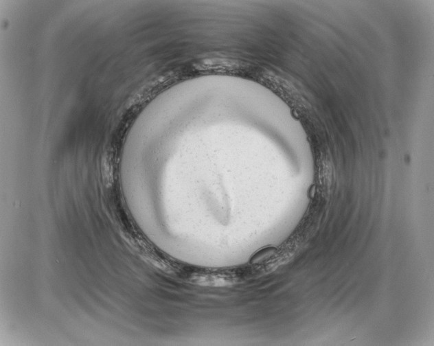 X0000085830751200704132037