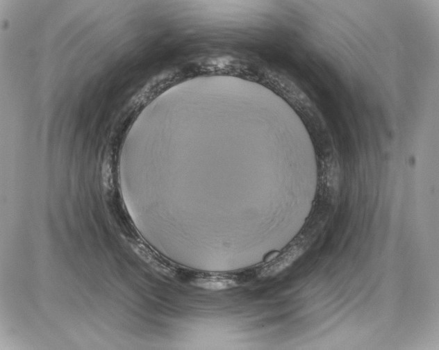 X0000085830754200704132037