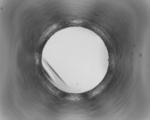 X0000085830758200704132037