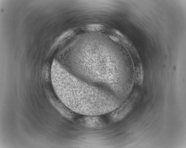 X0000085830762200704132037