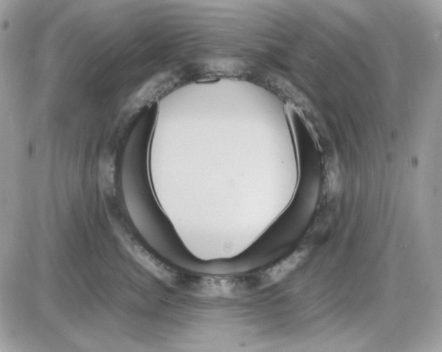 X0000085830764200704132037