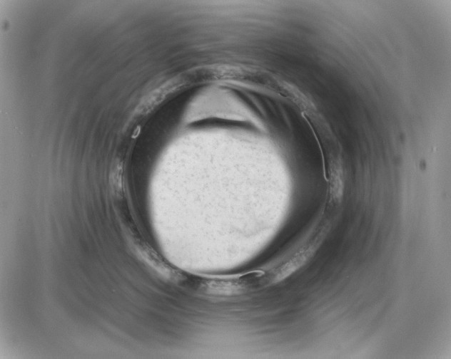 X0000085830766200704132037