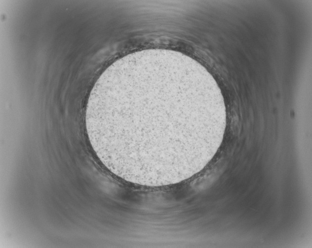 X0000085830769200704132037