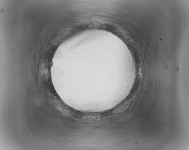 X0000085830771200704132037