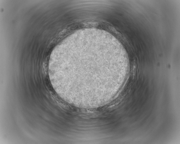 X0000085830772200704132037