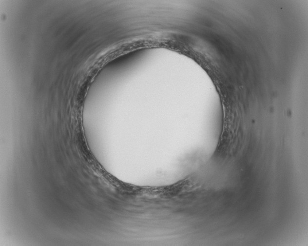 X0000085830773200704132037