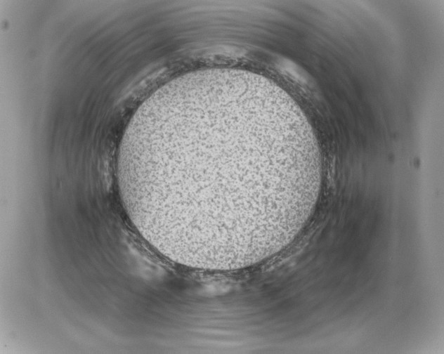 X0000085830774200704132037