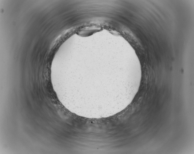 X0000085830776200704132037