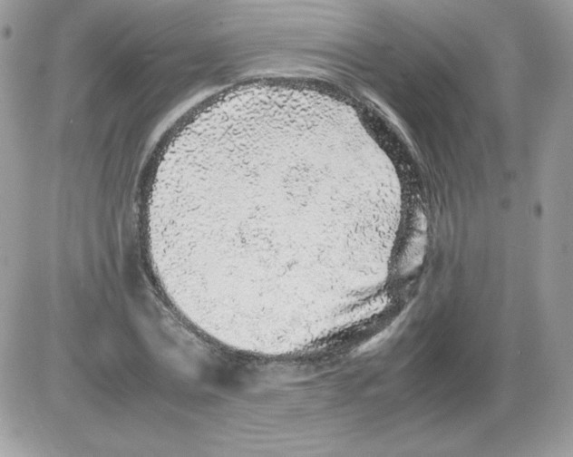 X0000085830779200704132036