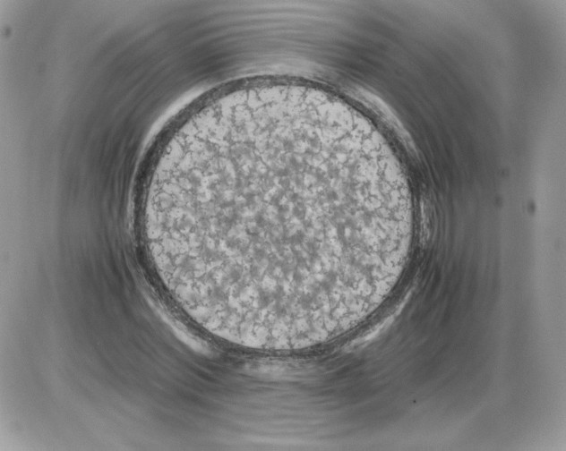 X0000085830780200704132036