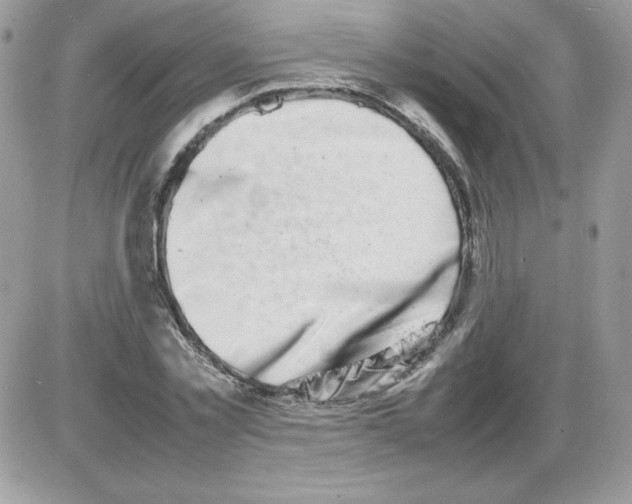 X0000085830781200704132036