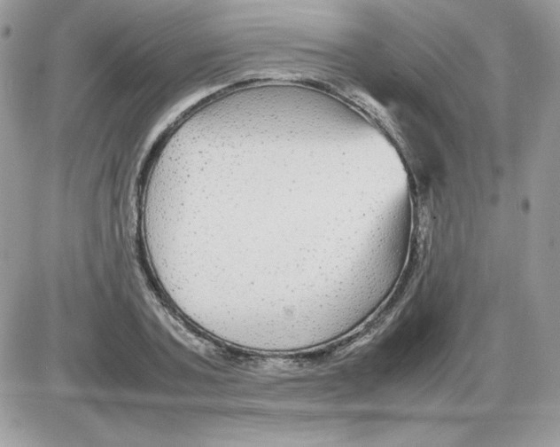 X0000085830787200704132036