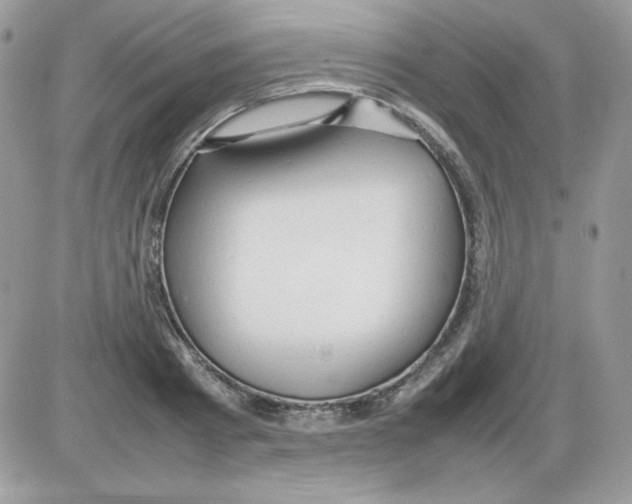 X0000085830793200704132036