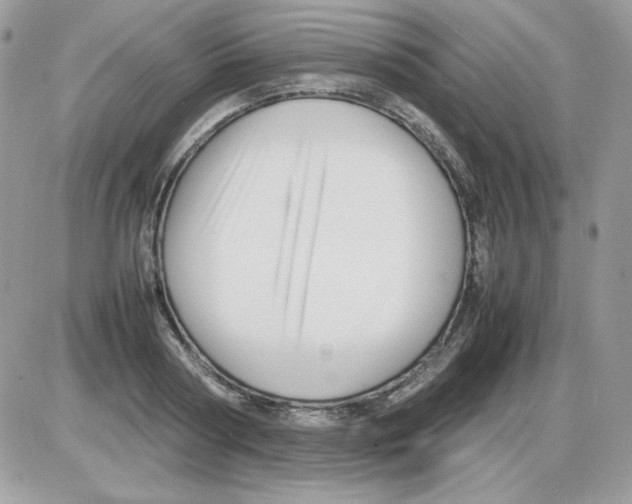X0000085830794200704132036