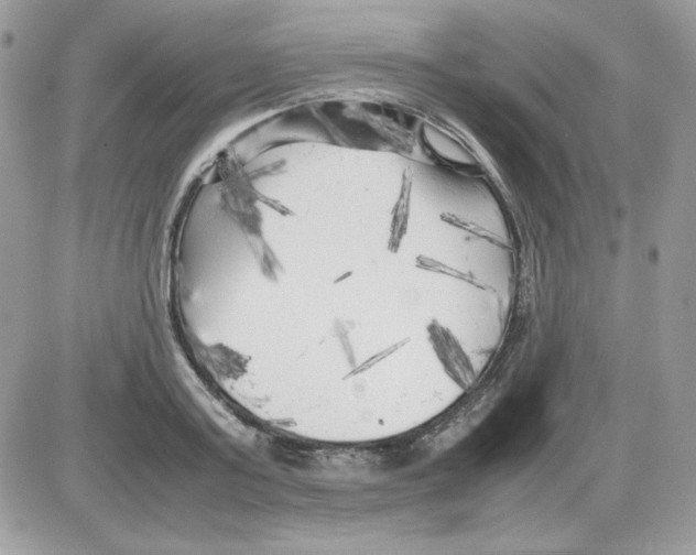X0000085830795200704132036