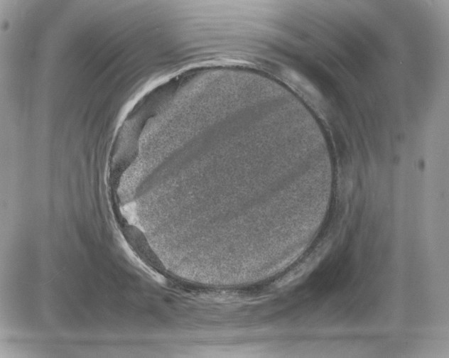 X0000085830797200704132036