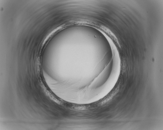 X0000085830798200704132036
