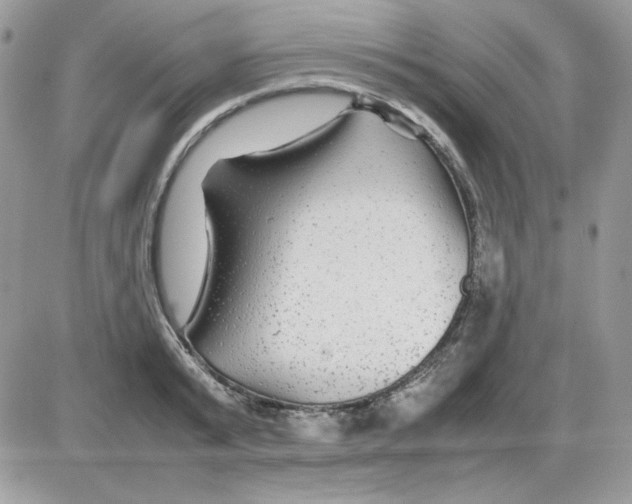 X0000085830799200704132036
