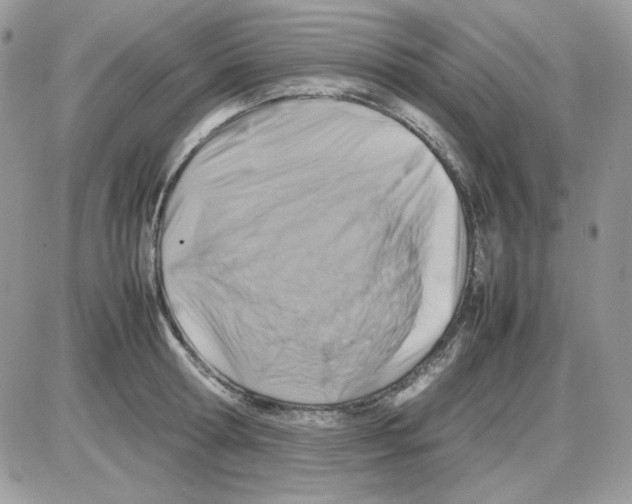 X0000085830802200704132036