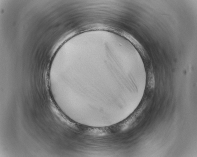 X0000085830806200704132036
