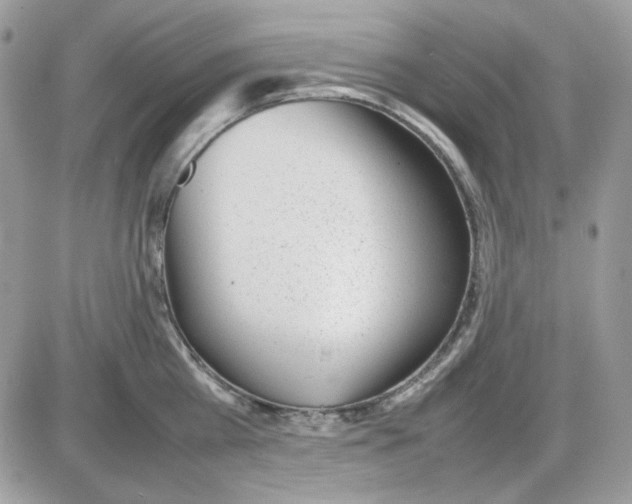 X0000085830809200704132036