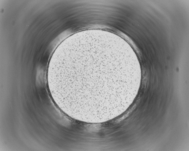 X0000085830810200704132036