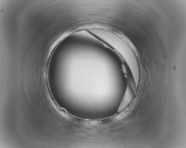X0000085830813200704132036