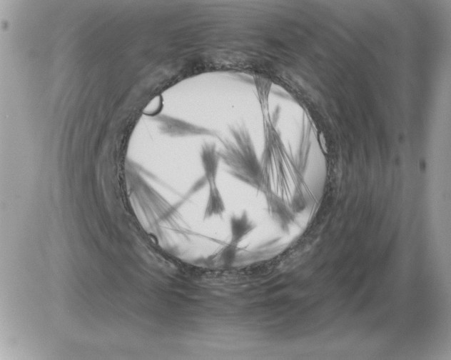 X0000085830817200704132035