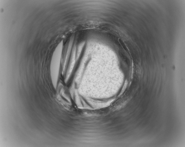 X0000085830818200704132035