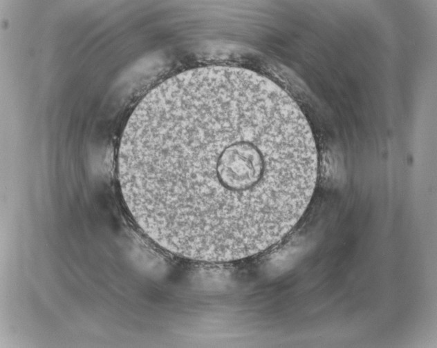X0000085830820200704132035