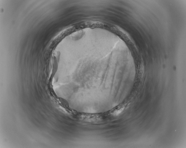 X0000085830823200704132035