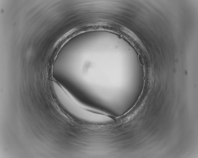 X0000085830826200704132035