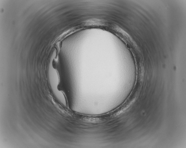 X0000085830833200704132035