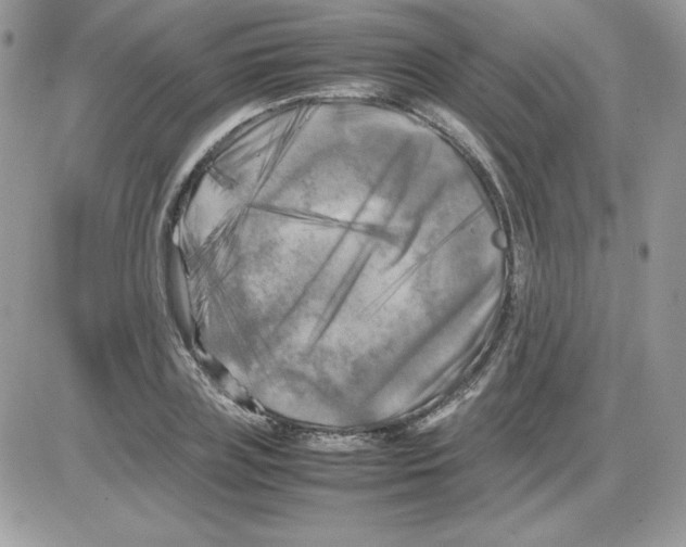 X0000085830835200704132035