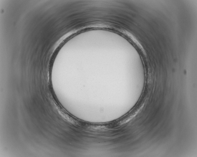 X0000085830837200704132035
