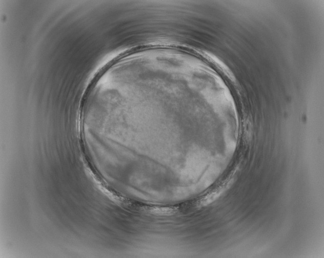 X0000085830839200704132035