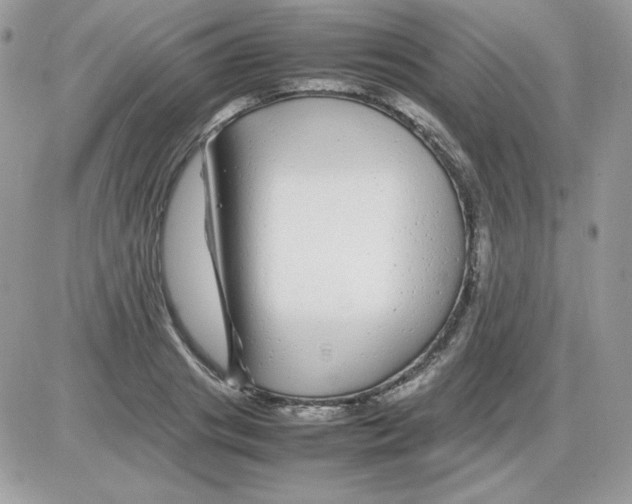 X0000085830841200704132035