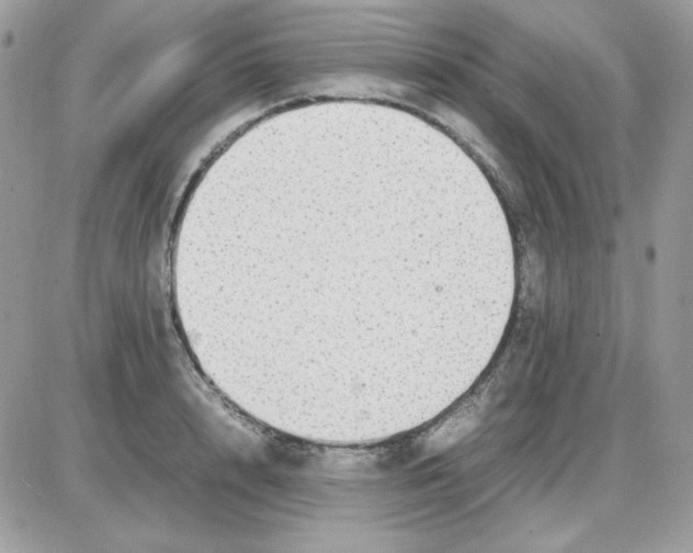 X0000085830848200704132036