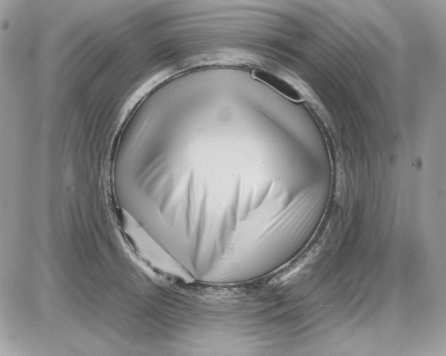 X0000085830850200704132036