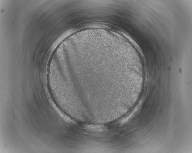 X0000085830853200704132036