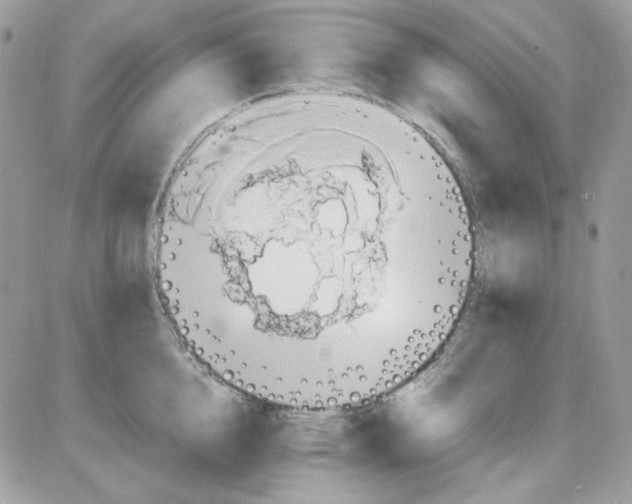 X0000085830856200704132036