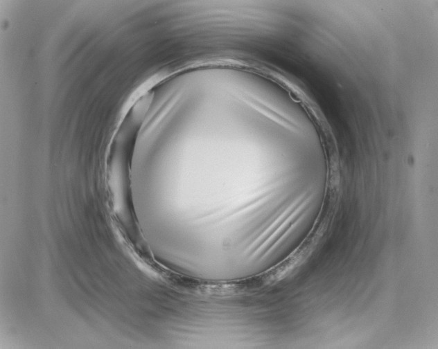 X0000085830858200704132036